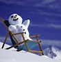 Image result for Funny Snow Animals