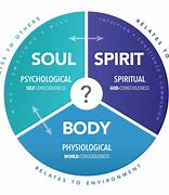 Image result for Chart of Body Soul and Spirit
