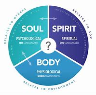 Image result for Difference Between Body Soul and Spirit