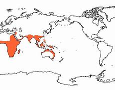 Image result for Fruit Bat Habitat Map