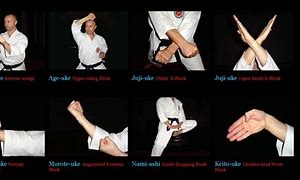 Image result for Karate Blocks