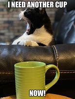 Image result for Extra Large Coffee Cat Meme