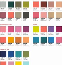 Image result for coral colors palettes