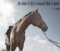 Image result for Winston Churchill Horse Quotes