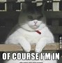 Image result for Cute Cat Memes 2019