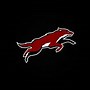 Image result for NHL Arizona Coyotes