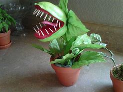 Image result for Plant Eat Human