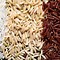 Image result for List of Rice Seed Varieties