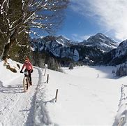 Image result for Snow Biking