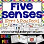 Image result for 5 Senses Project for Kindergarten