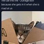 Image result for Funny Cat Box
