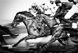 Image result for Horse Racing Photography