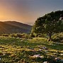 Image result for Cool Scenery 4K