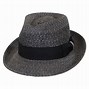 Image result for Fedora Hat