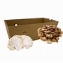 Image result for Paper Packaging for Mushroom