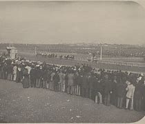 Image result for Melbourne Cup Winning Horses