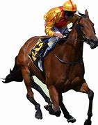 Image result for Horse Racing Bets PNG
