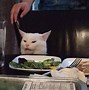Image result for Funny Cat Fail Meme