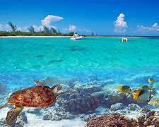 Image result for Summer Beach Vacation