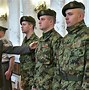 Image result for Serbian Armed Forces Outfit
