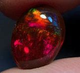 Image result for Mexican Cherry Opal