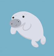 Image result for Manatee Puns