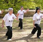 Image result for Wu Tai Chi 45