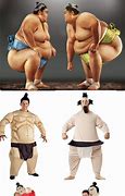 Image result for Sumo Costume Fighting