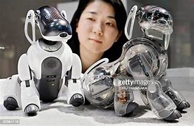 Image result for Aibo Models