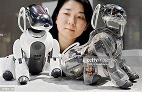 Image result for Sony Aibo Woman in Seat Pinterest