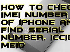 Image result for IMEI and Iccid iPhone
