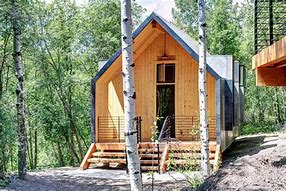 Image result for Cabins the Grils