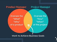 Image result for Product vs Project Manager