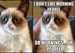 Image result for Best Grumpy Cat Memes