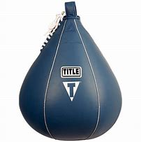 Image result for Boxing Speed Bag