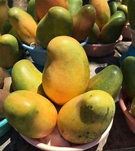 Image result for Jamaican Exotic Fruits
