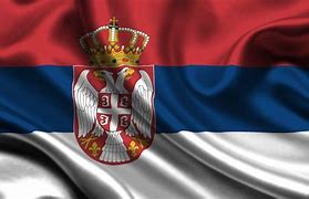 Image result for Sr Serbia Flag