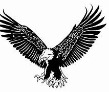 Image result for Free Eagle Head SVG Files