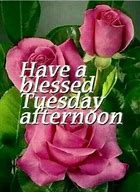 Image result for Happy Tuesday Afternoon