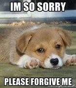 Image result for How to Say Sorry Meme