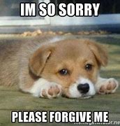 Image result for Sorry Meme Funny Images