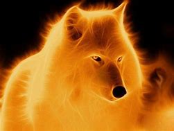 Image result for Fire Wolves
