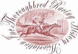 Image result for Thoroughbred Racing Association Pins