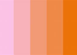 Image result for Warna Peach