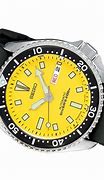 Image result for Deep Sea Diver Watch