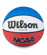 Image result for Blue Wilson Basketball