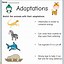 Image result for Animal Adaptations Worksheet 2nd Grade