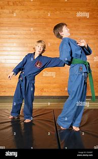 Image result for Martial Arts Kids