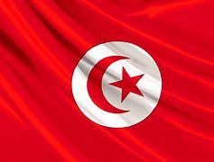Image result for تونس