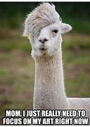 Image result for LOL Funny Animals